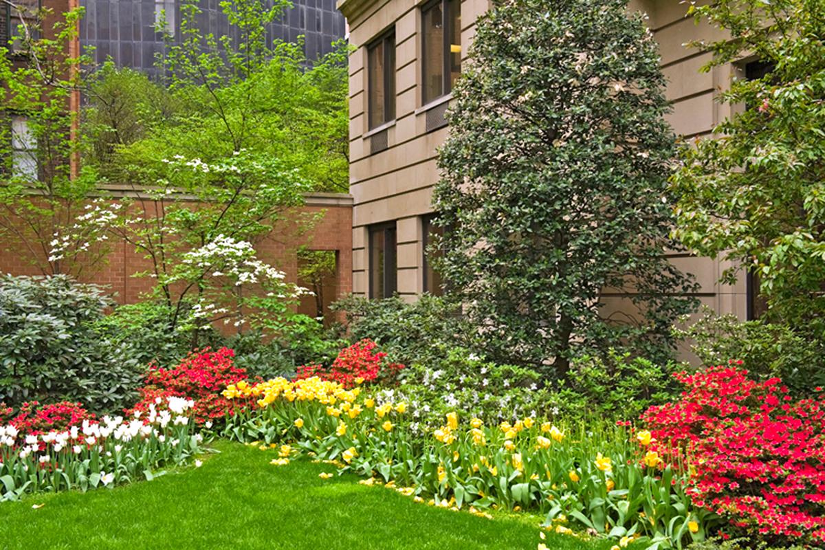 The Pavilion NYC Luxury Apartments for Rent Glenwood Management